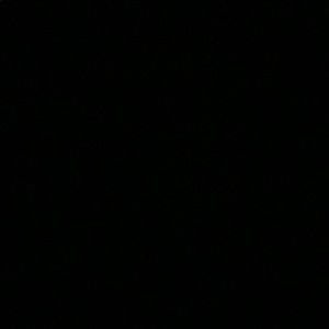 Meet your Posher, Kat